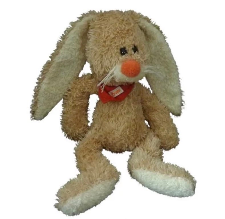 Lapin trudi