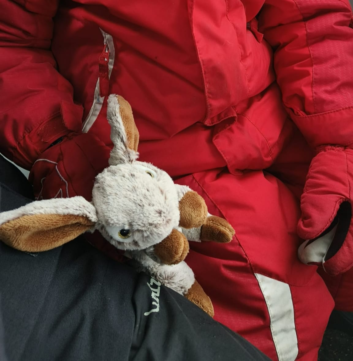Doudou Gris et Marron Dani création