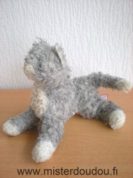 Douglas Chat Gris blanc - Etat moyen