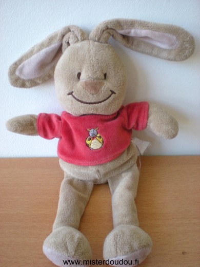 Bengy Lapin Marron tshirt rouge avec coccinelle jaune - Bon état