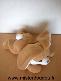 Gipsy Lapin Marron ventre blanc - Très bon état